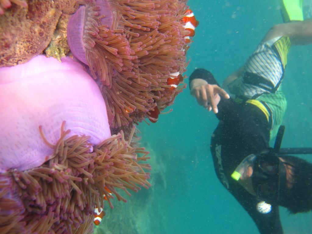 Ombak Dive Resort Perhentian Island Pulau Perhentian Kecil Екстер'єр фото