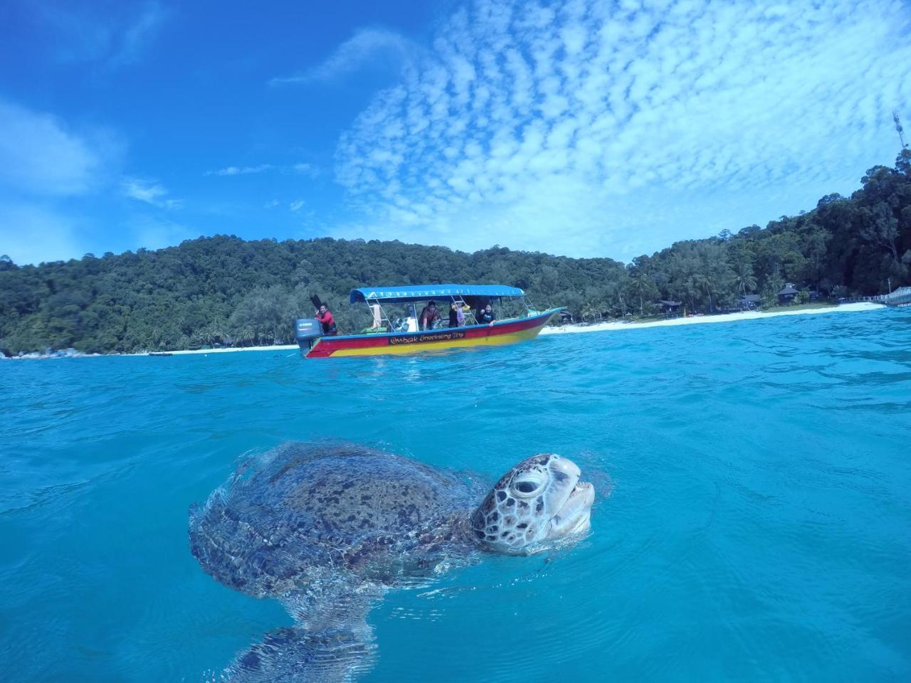 Ombak Dive Resort Perhentian Island Pulau Perhentian Kecil Екстер'єр фото